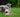 How To Prevent Your Dog from Chewing The Pet Door Flap