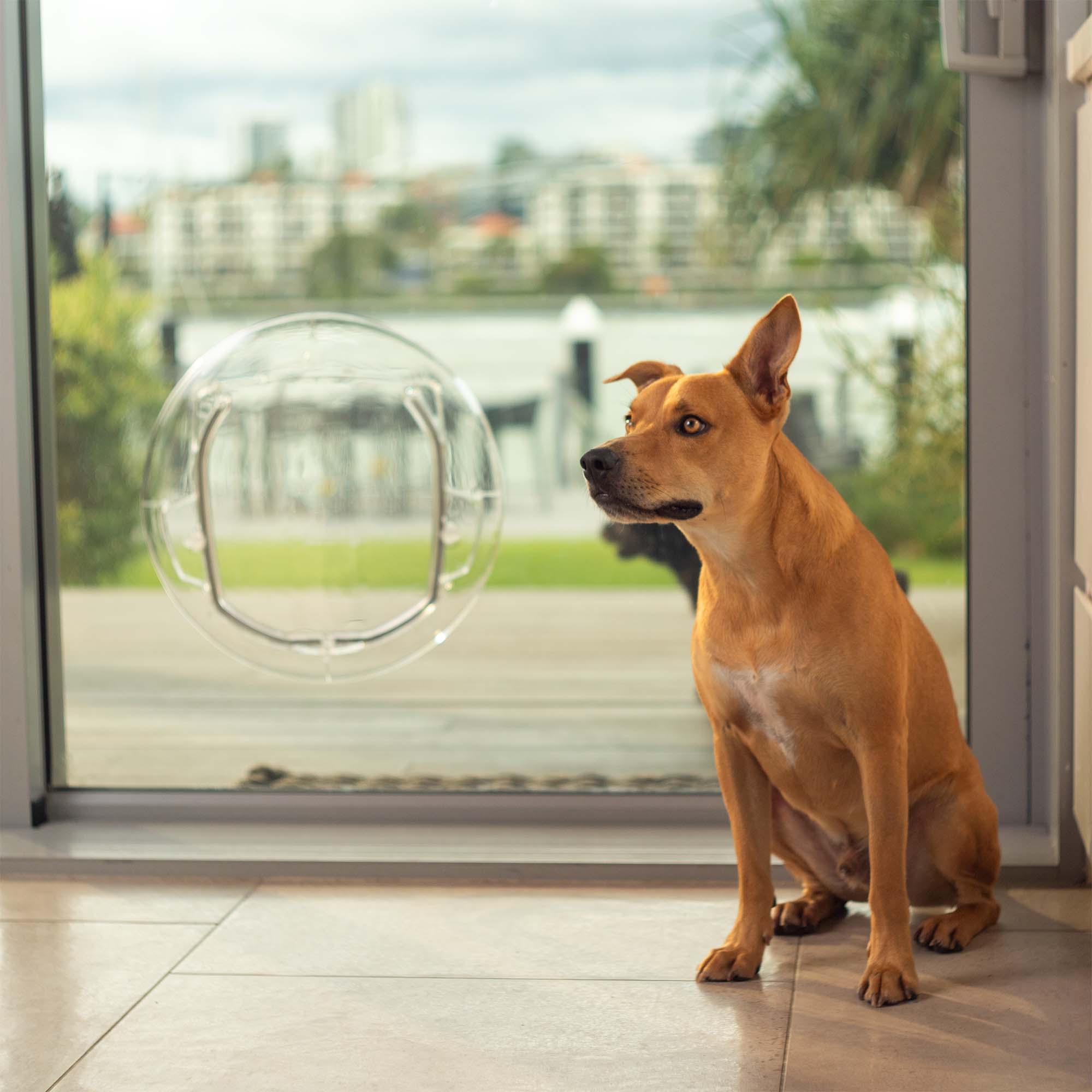 High Tech Pet Electronic Patio Dog Door Collar High Tech Power Pet