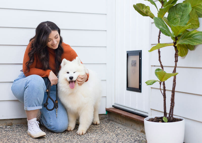 What Pet Door Size Should You Buy?