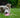 How To Prevent Your Dog from Chewing The Pet Door Flap