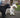 10 Things You Should Know About Your Dog’s Bark