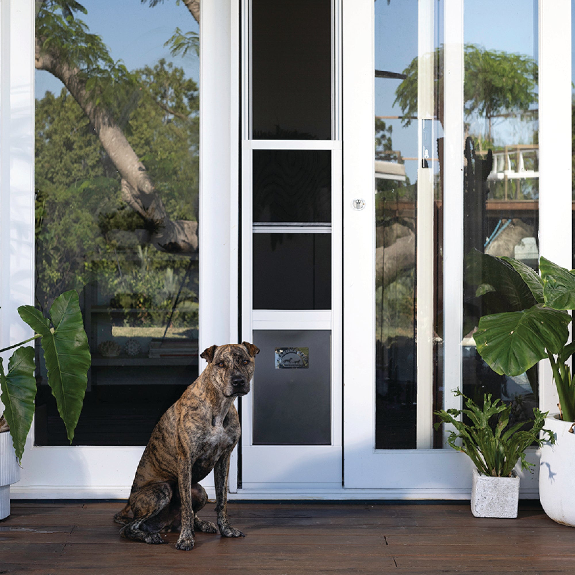 Mesh Patio Pet Door - Without Clear Weather Resistant Panels