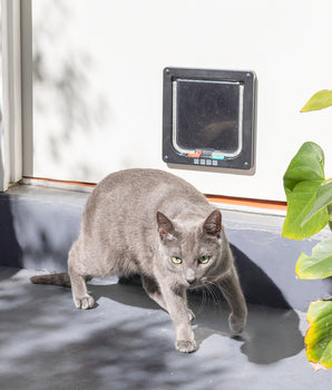 Cat Flap