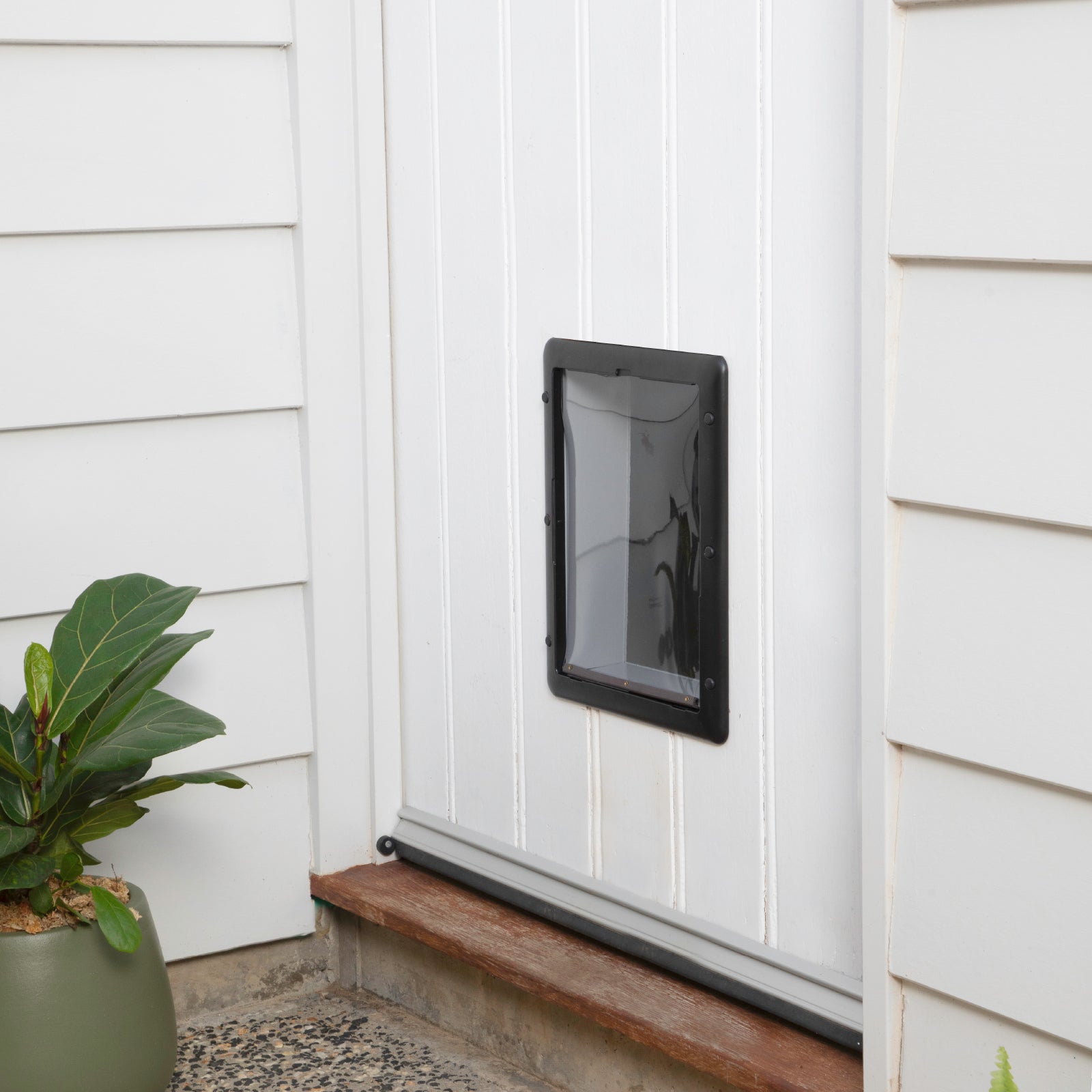 Essential Pet Door - Medium