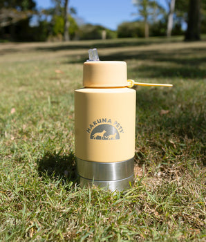 51 oz Insulated Pet Water Bottle