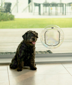 Ultra Clear Pet Door