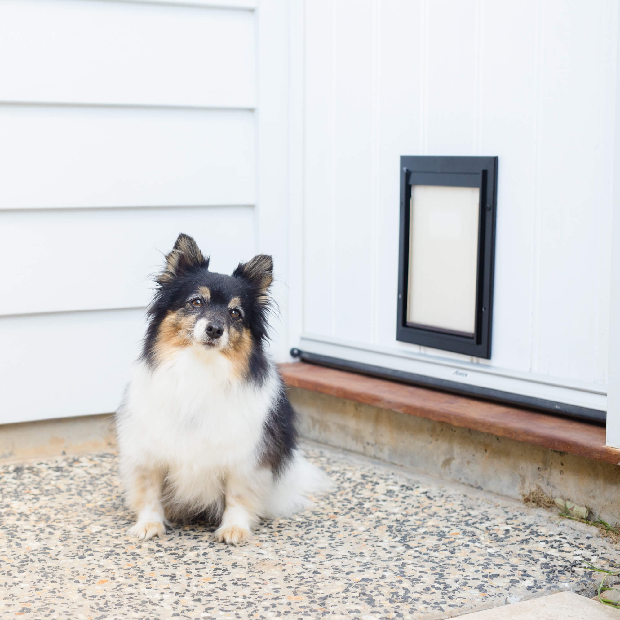 Small Deluxe Aluminium Pet Door - Hakuna Pets